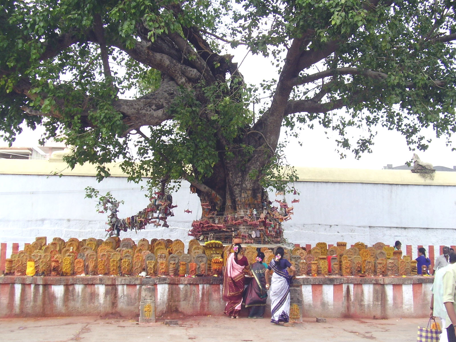 [Kanchipuram+34.jpg]