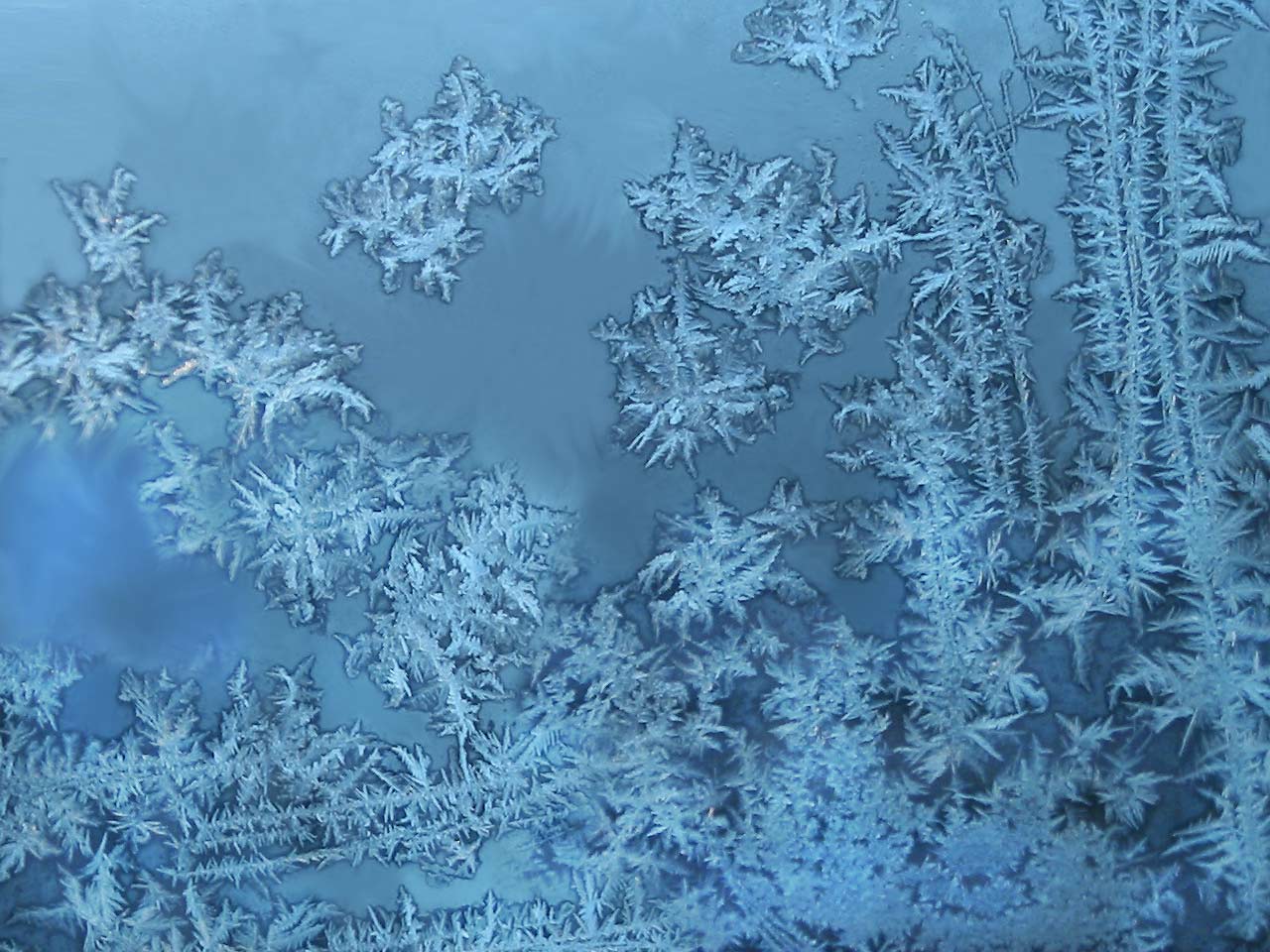 [wallpaper_winter_freeze.jpg]