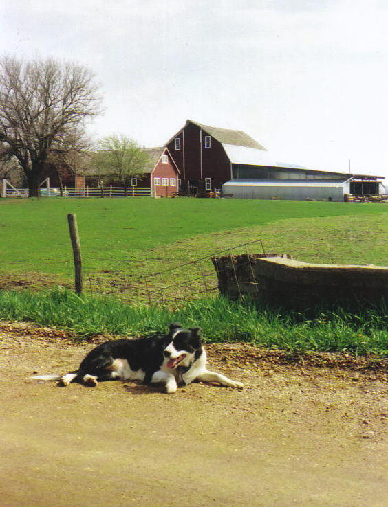 [Maggie+with+view+of+Brue's+farm.jpg]