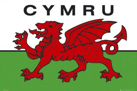 [Wales-flag-l.jpg]