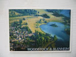 Aerial intervention (Woodstock & Blenheim Palace)