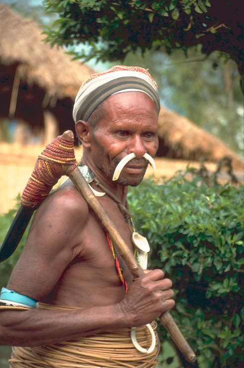 [Yali+Papuan+man+looks+different.jpg]