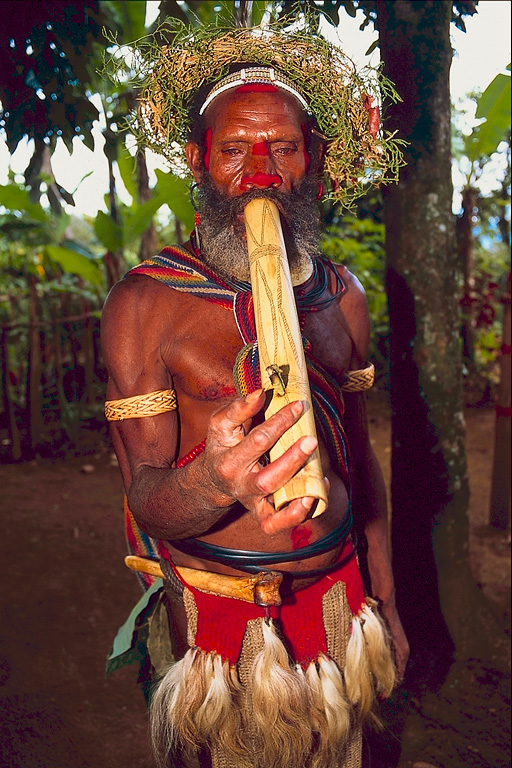 [Huli_man_Papua_looks_very_aborigine.jpg]