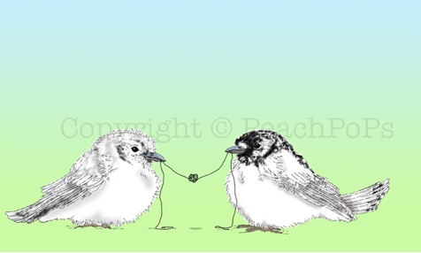 [tying+the+knot+birds.png]