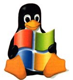 [linux-windows.jpg]