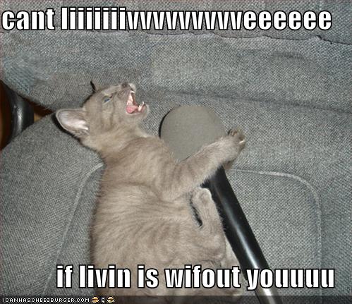 [funny-pictures-karaoke-cat.jpg]