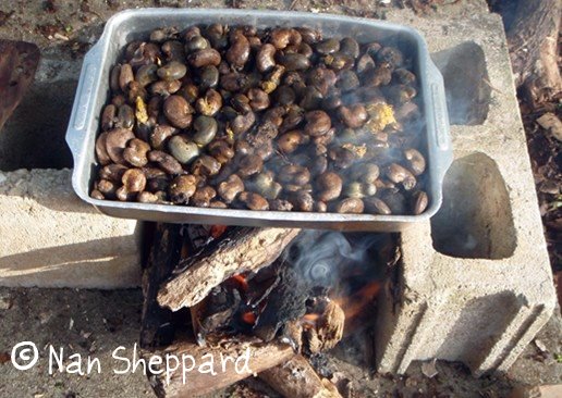[cashews+roasting.jpg]