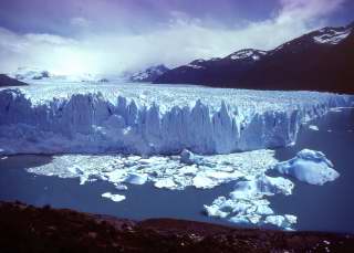 [Glaciar+Moreno+135_1.JPG]