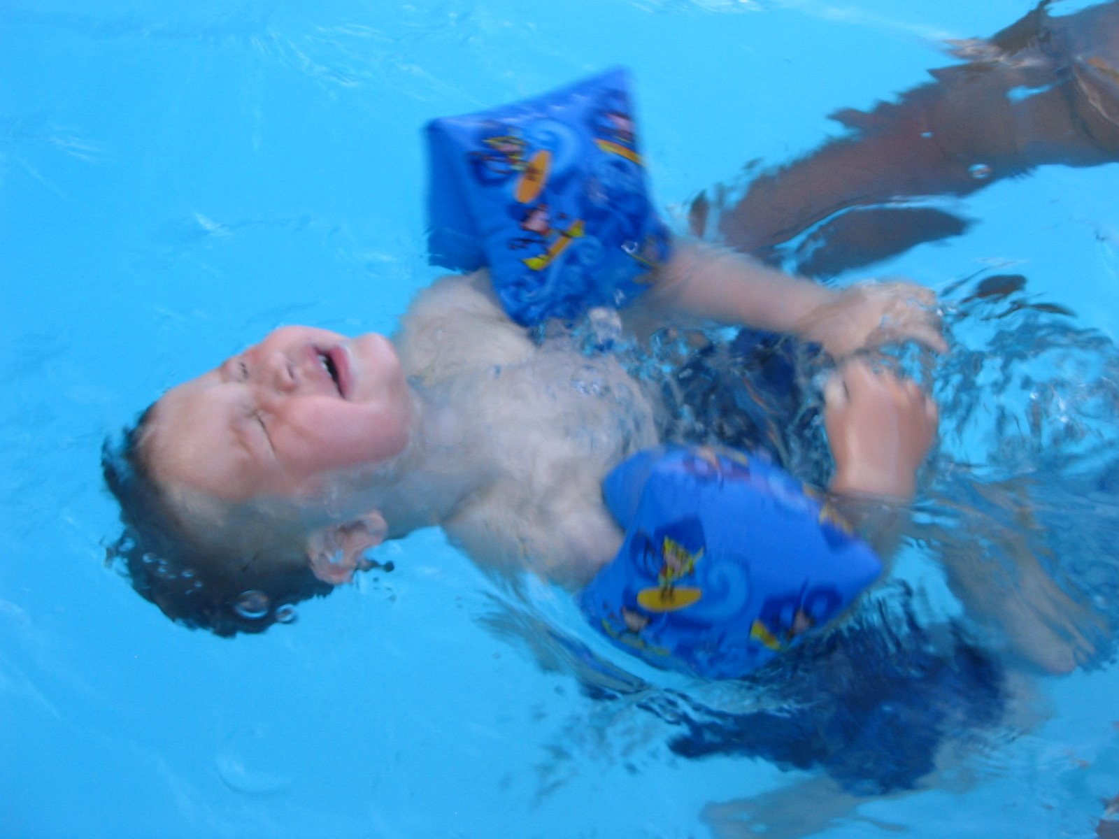 [Easton+swimming+July+16,+2008+006.jpg]
