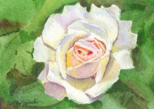 [White+rose.jpg]