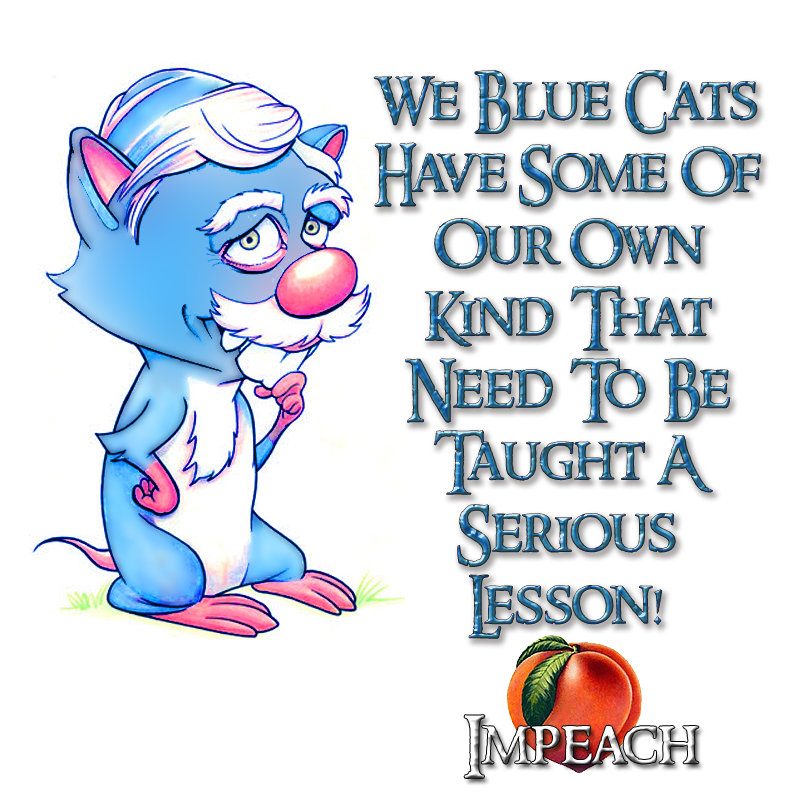 [BLUE+CATS.jpg]