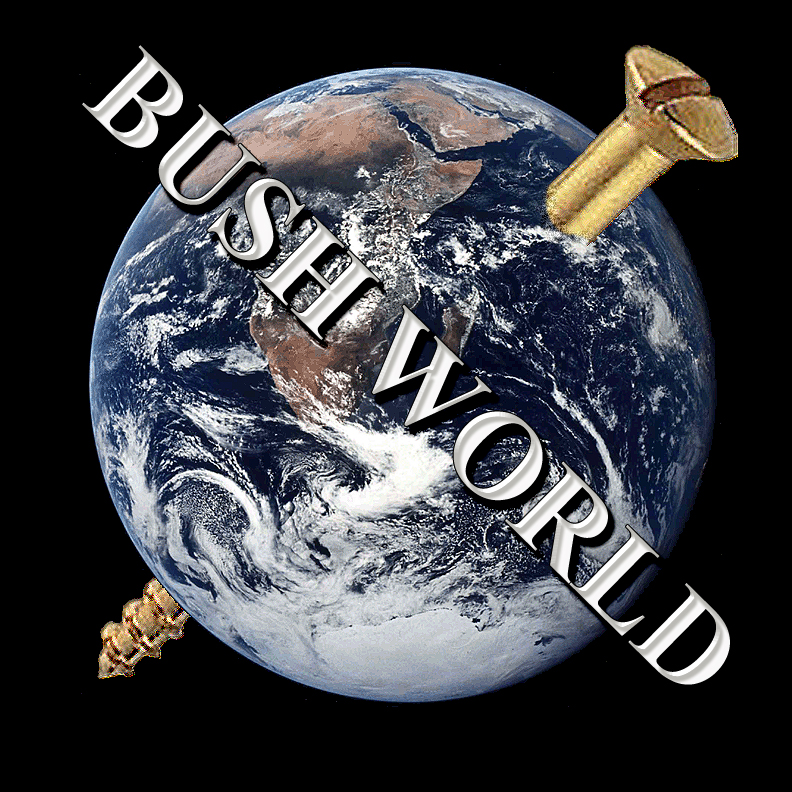 [BUSH+WORLD+2007.jpg]