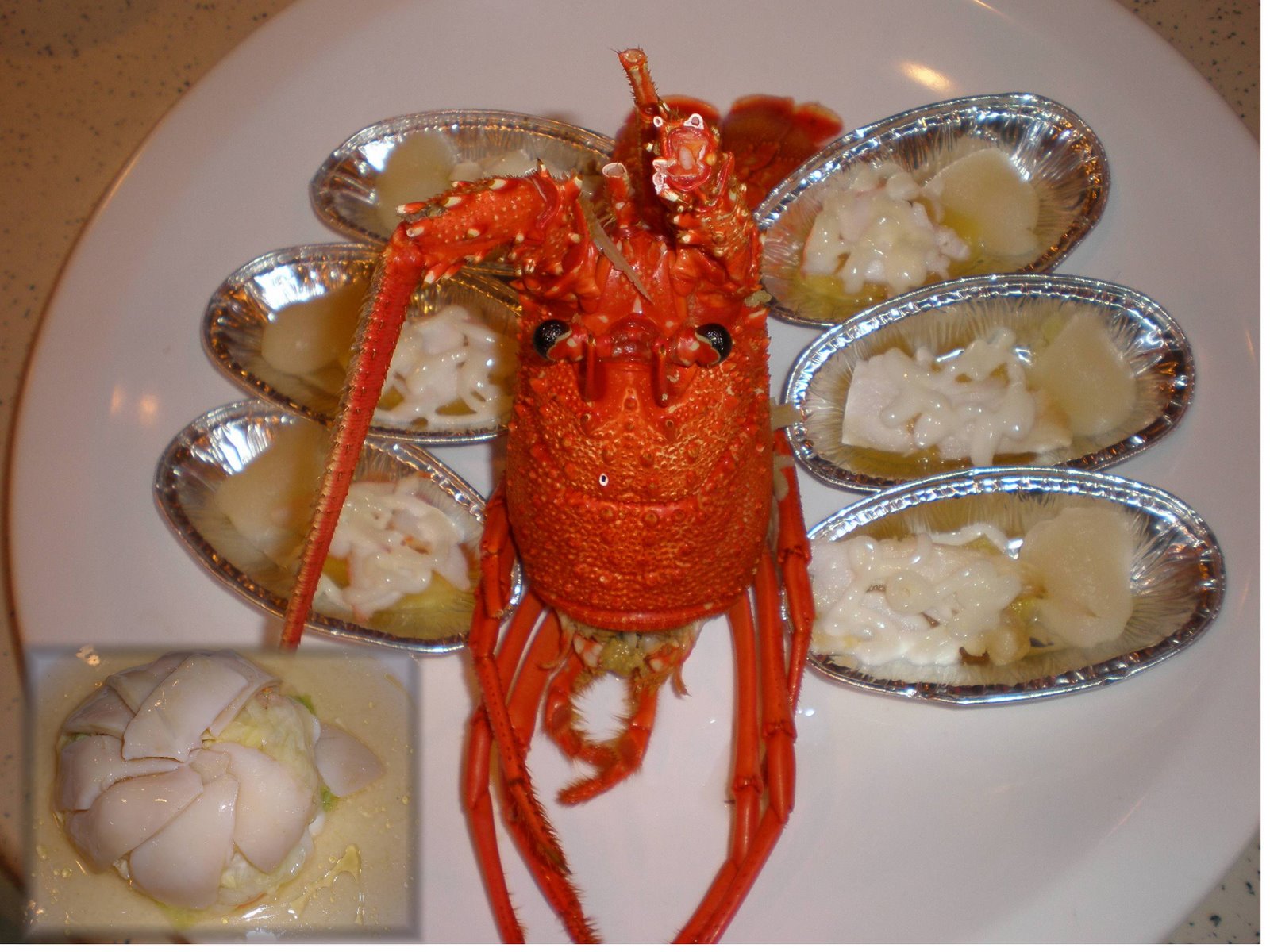 [lobster+abalone.jpg]