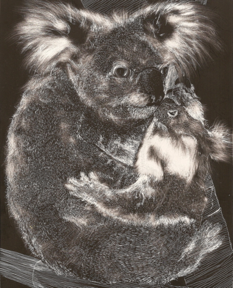 [koala2.jpg]