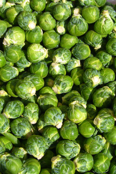 [brussell+sprouts.jpg]