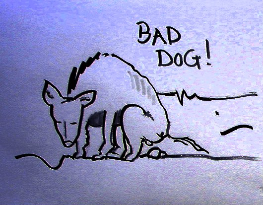 [bad+dog.jpg]