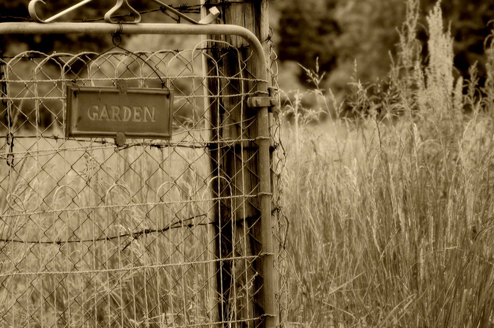 [garden+gate.jpg]