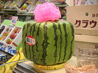 [200px-Square_watermelon.jpg]