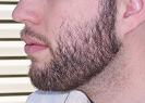 [beard.JPG]