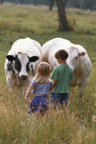 [boy+and+girl+with+two+cows.jpg]