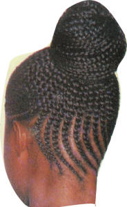 [afro_braids_picture.jpg]