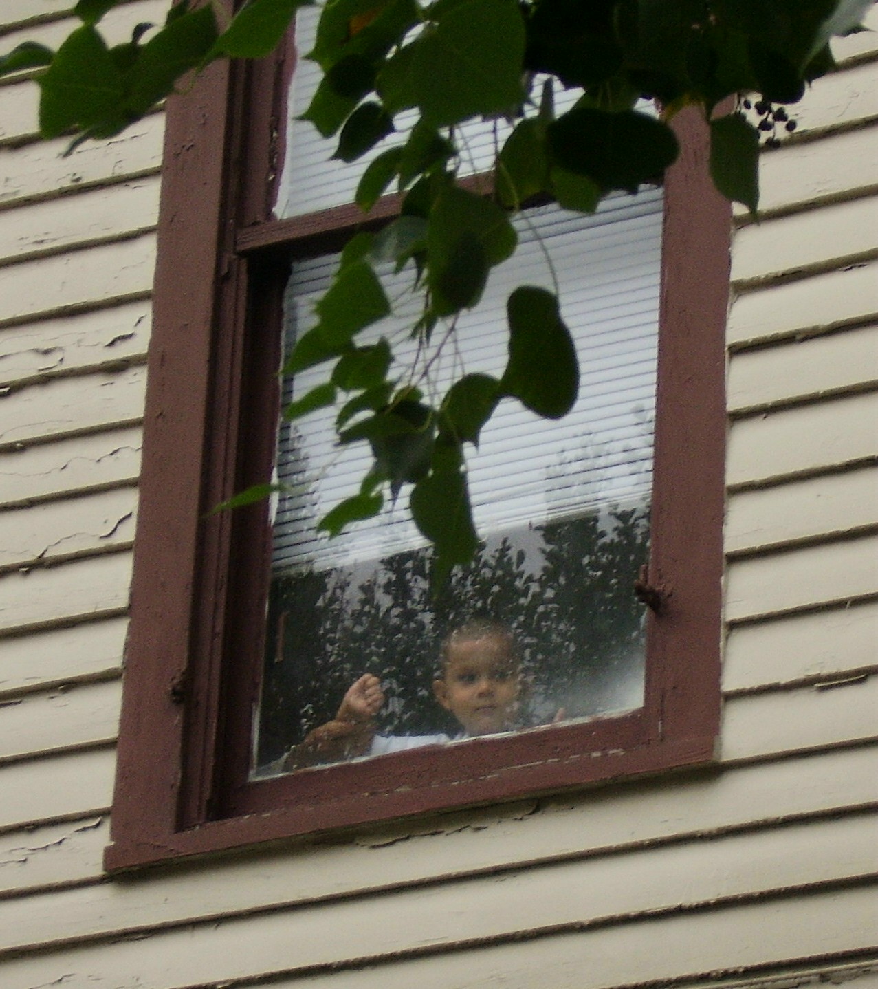 [Child+in+Window+Close+up.jpg]