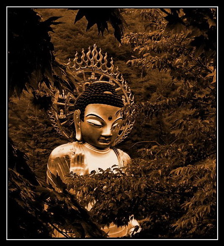 [Dark+Buddha.jpg]