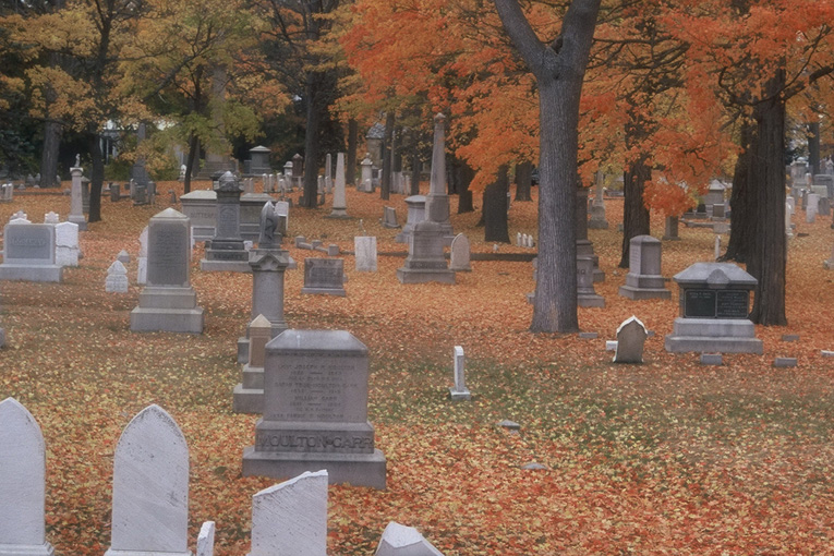 [Cemetery+Autumn.jpg]