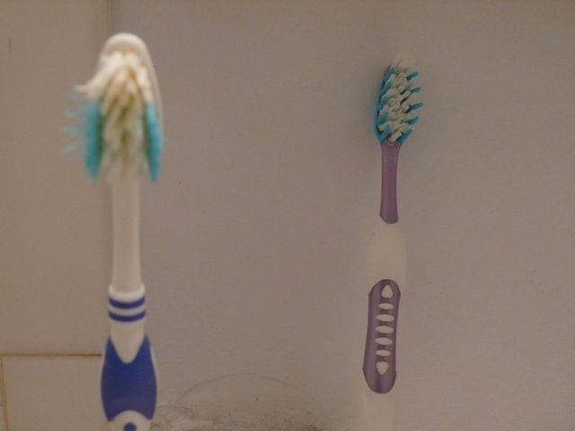 [toothbrush2.jpg]