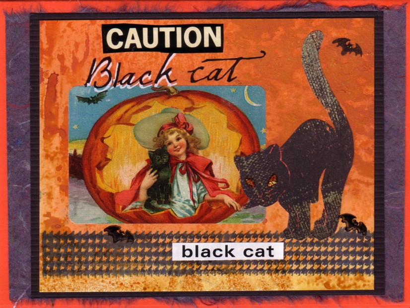 [blackcat.jpg]