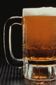 [beer+mug.jpg]