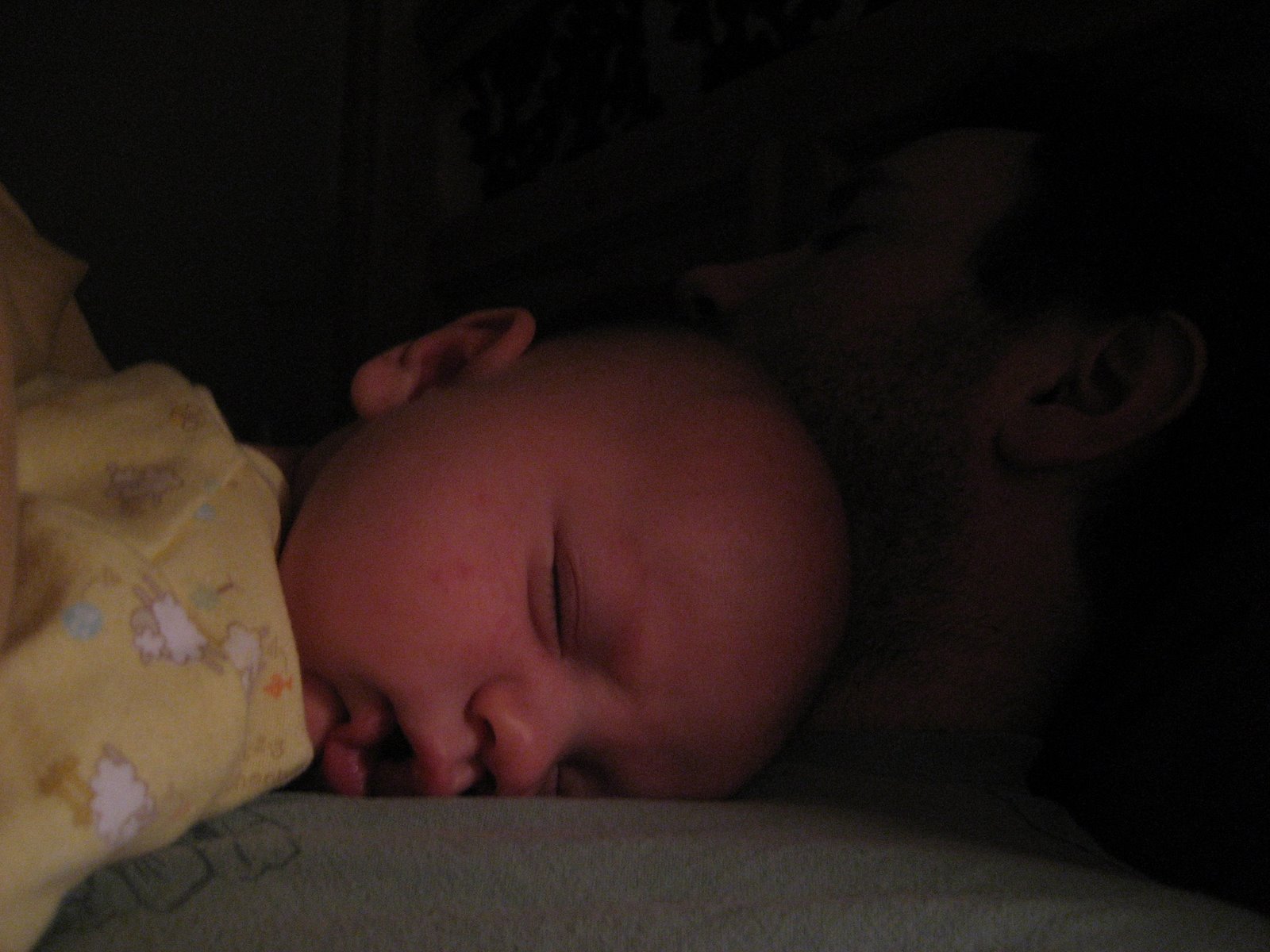 [021507-sleeping+on+dad-close-comp.jpg]