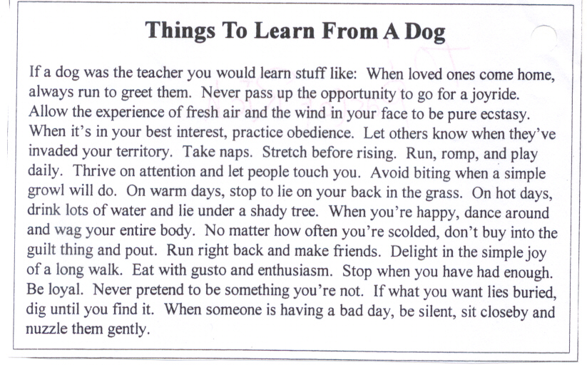 [learn+from+a+dog.jpg]