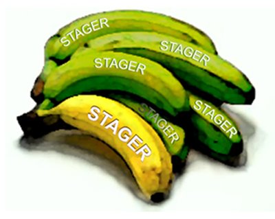 [Staging+Bananas.jpg]