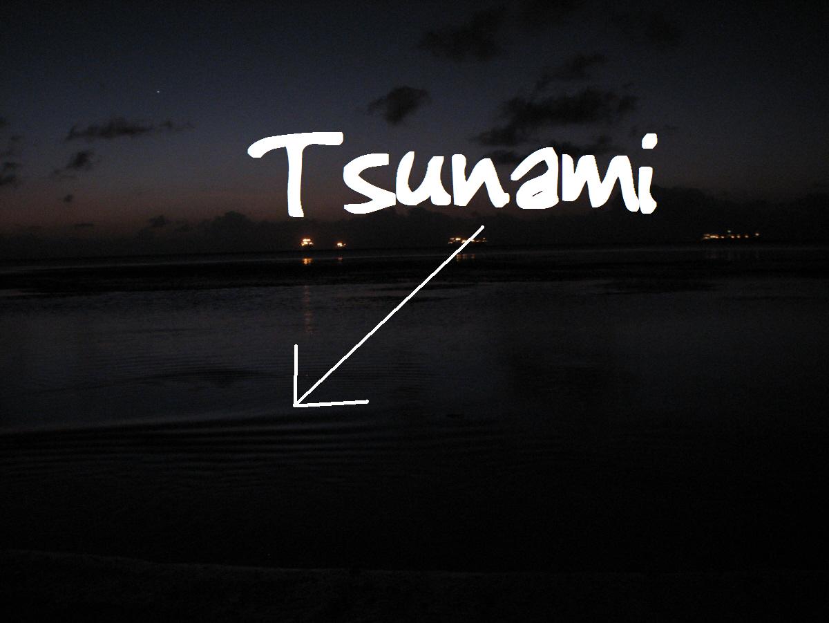 [tsunamipic.jpg]