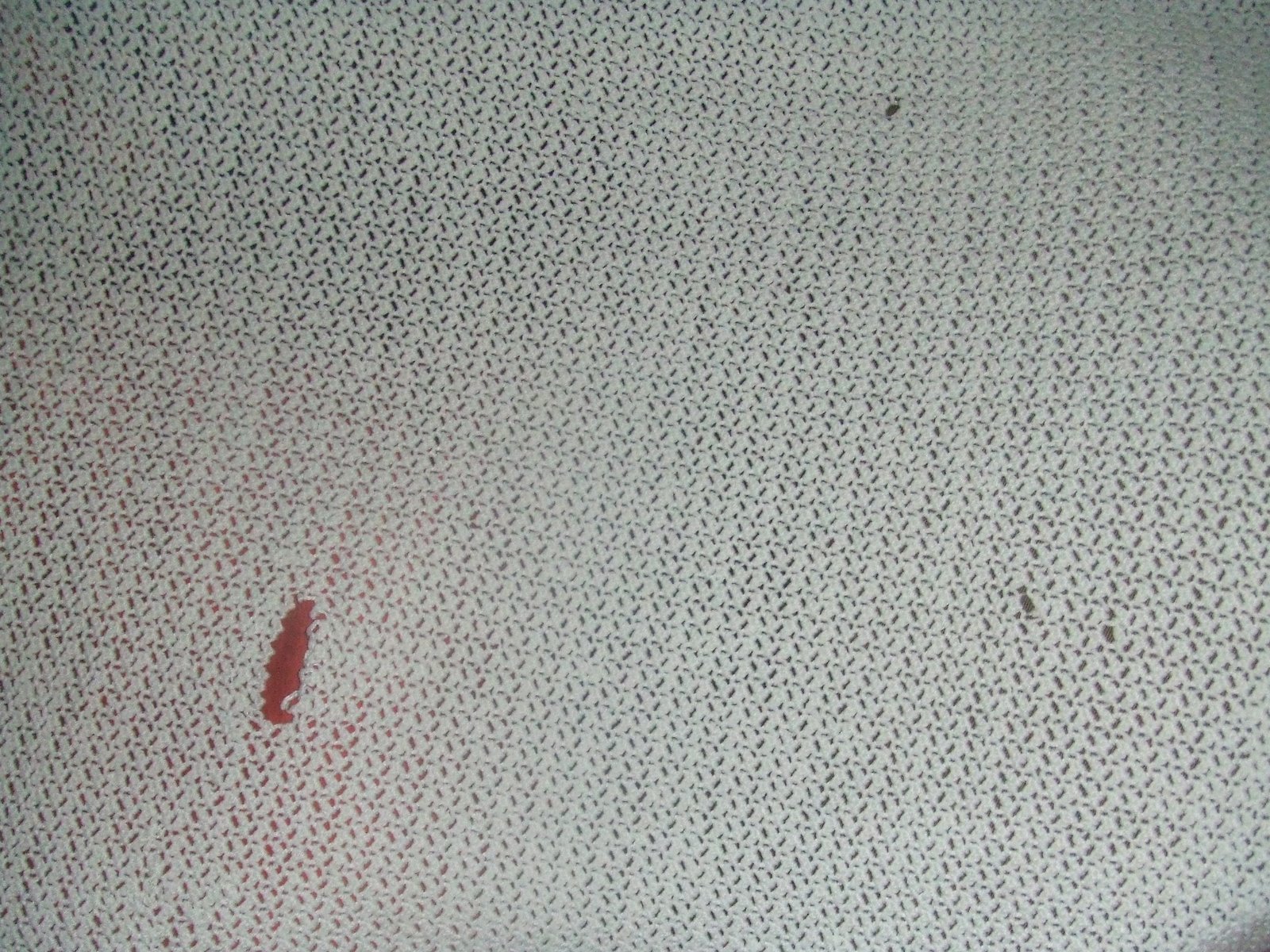 [sewing+004.JPG]