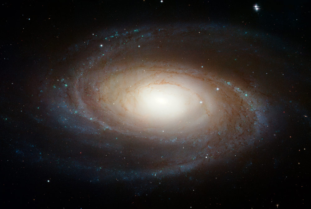 [+Hubble+Photographs+Grand+Design+Spiral+Galaxy+M81.jpg]