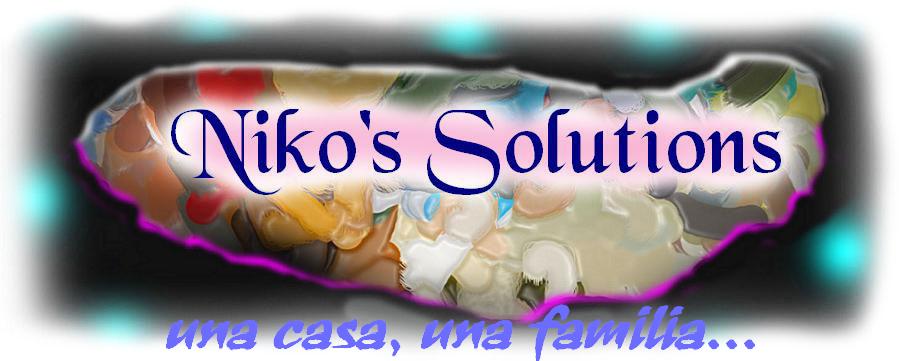 niko's solutions