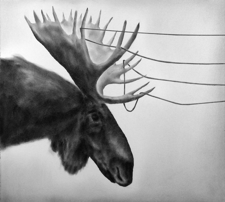 [moose_with+_wires_small.jpg]
