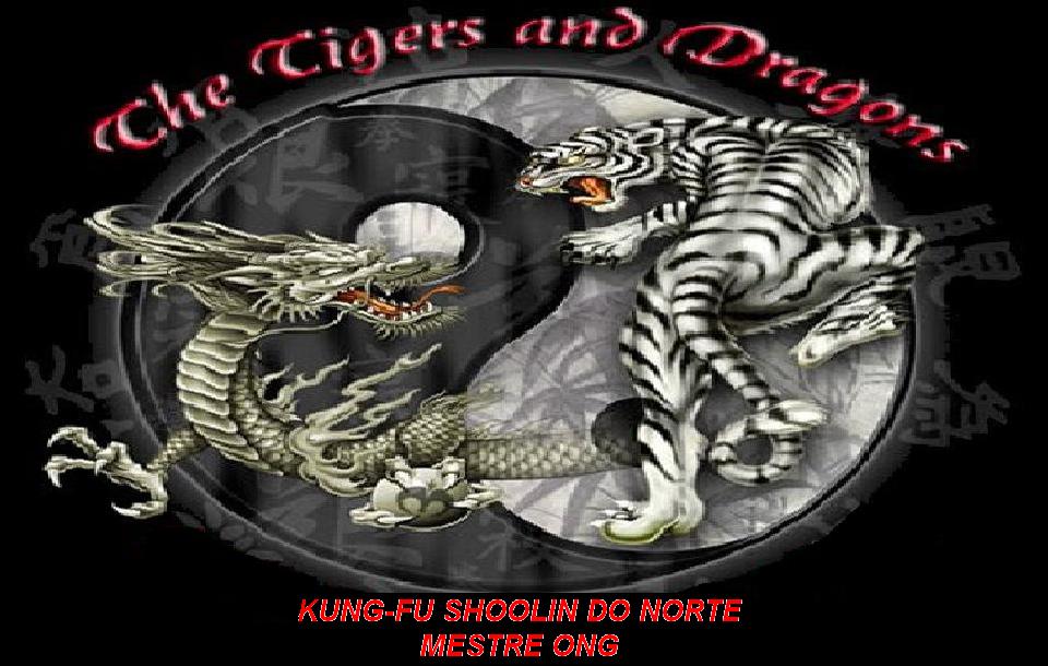 Associação de Kung-fu Shaolin do norte