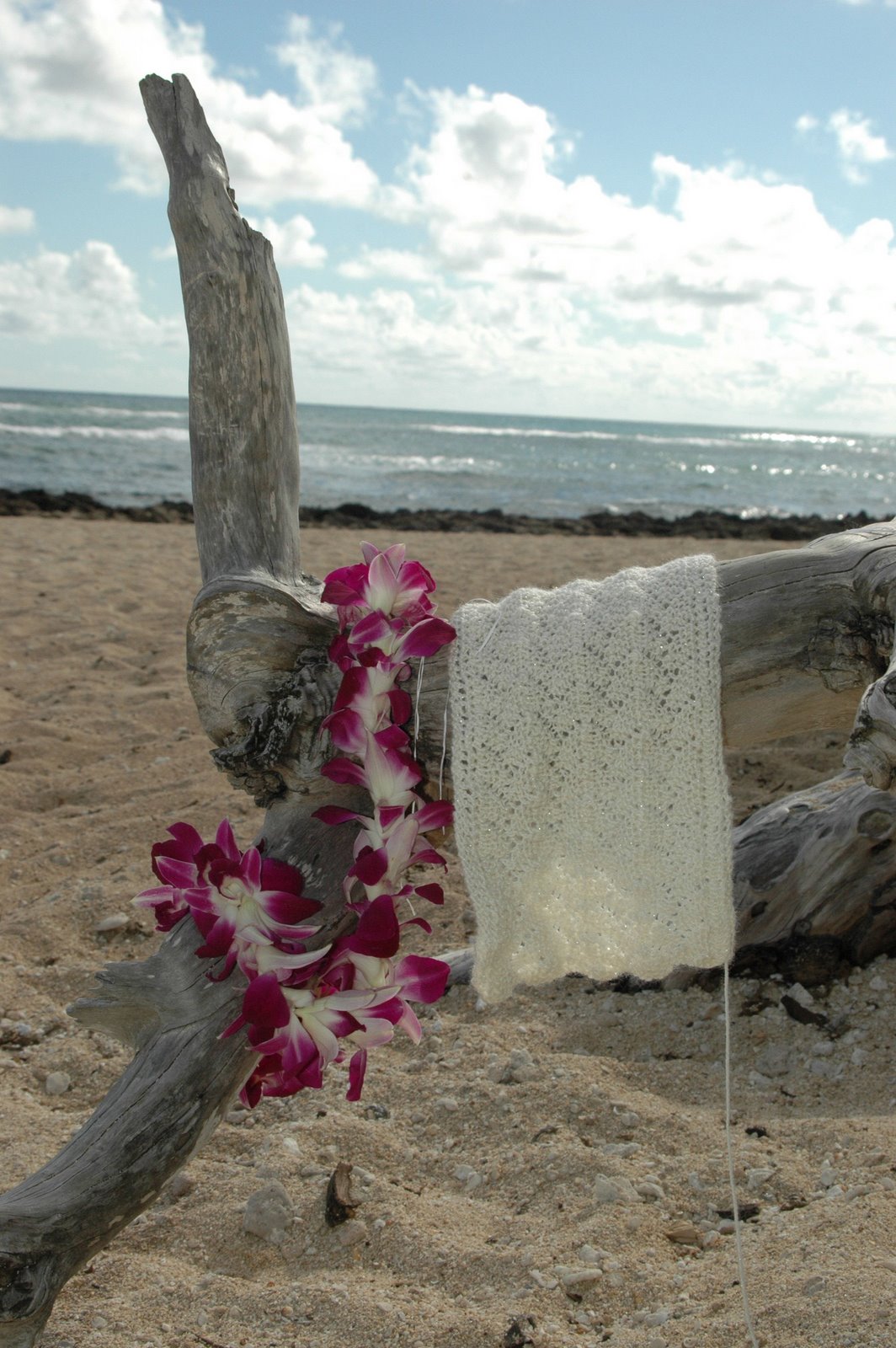 [Hawaii+knitting+on+driftwood.JPG]