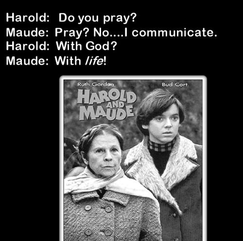 [Harold+&+Maude.jpg]