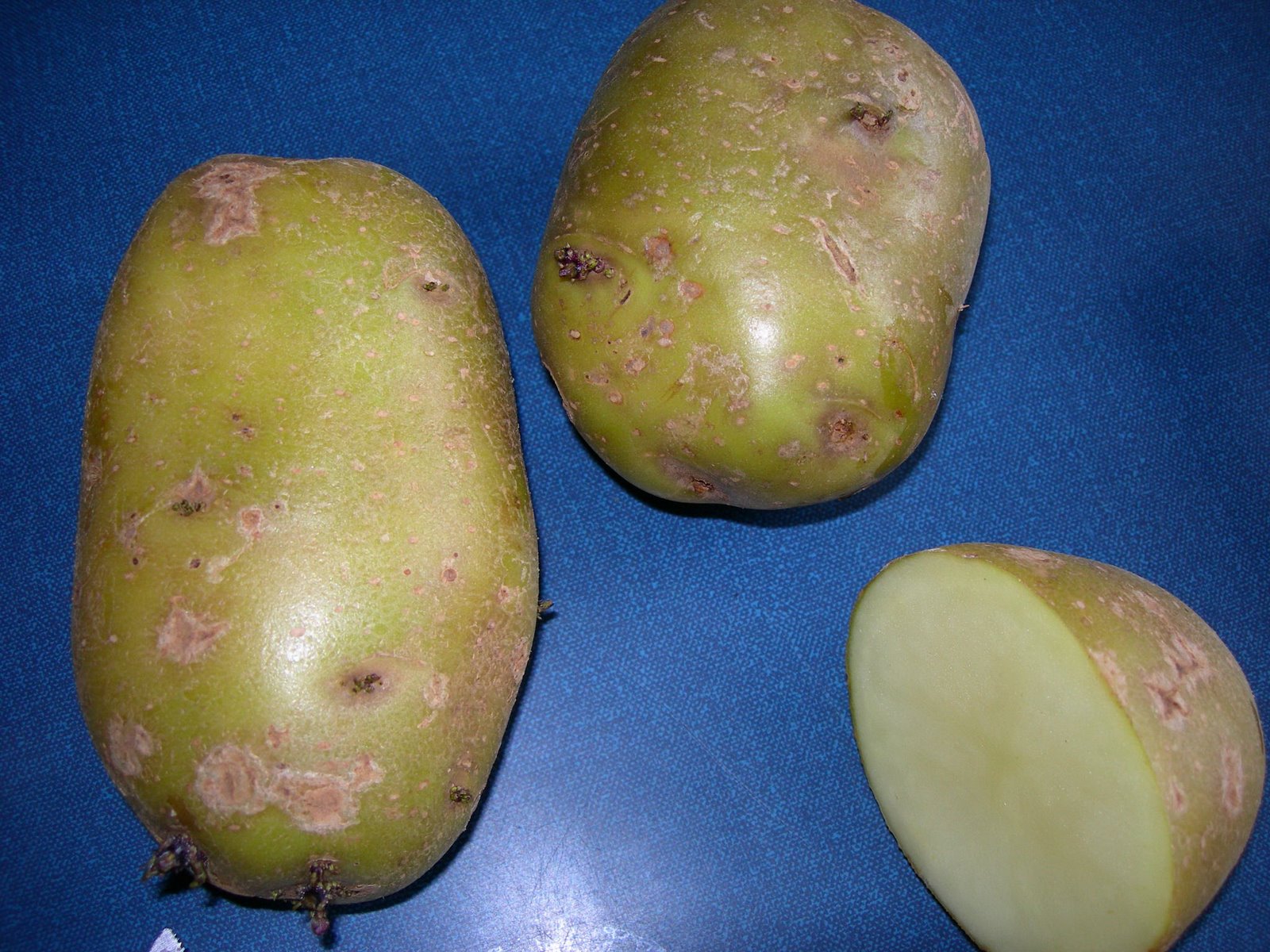 [Potatoes.JPG]