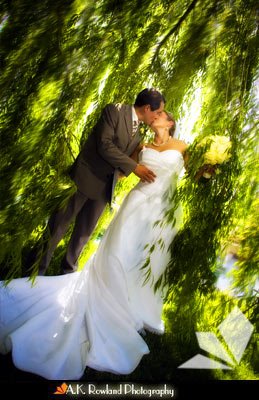 [Holister_wedding_photography.jpg]