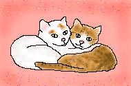 [2_cats.gif]