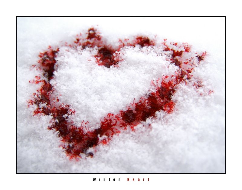 [winter_heart_by_GoranDA.jpg]