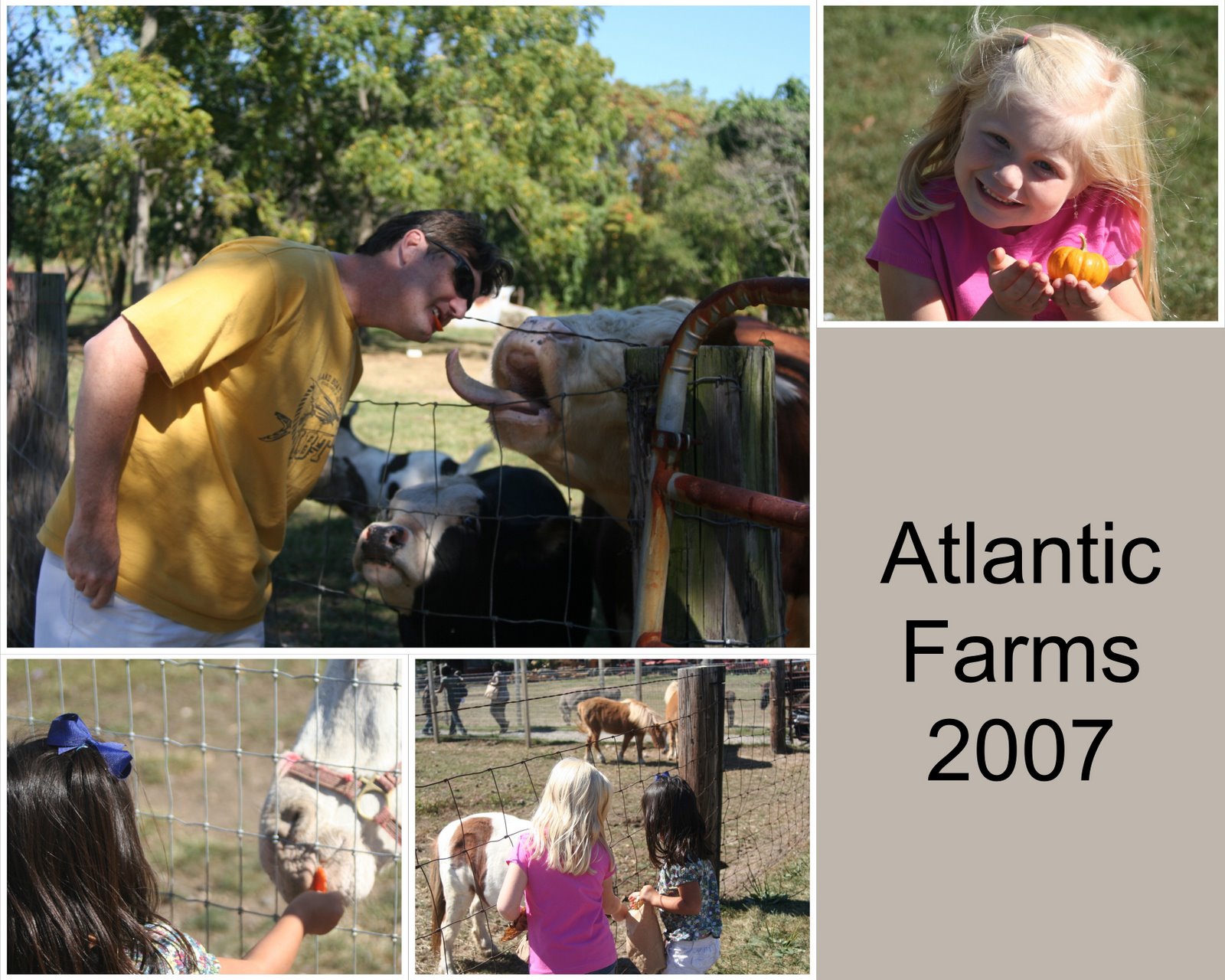 [Atlantic+Farms.jpg]