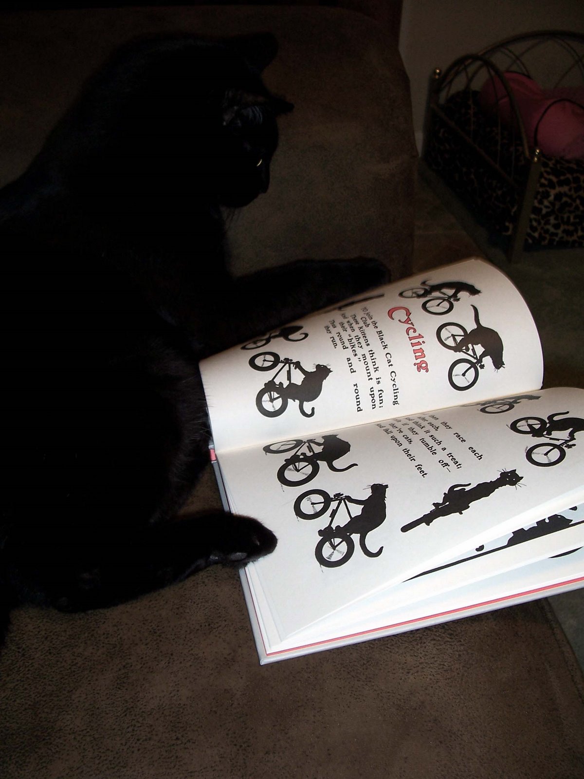 [Merlin-the+black+cat+book-reading+it+2+(the+best).jpg]