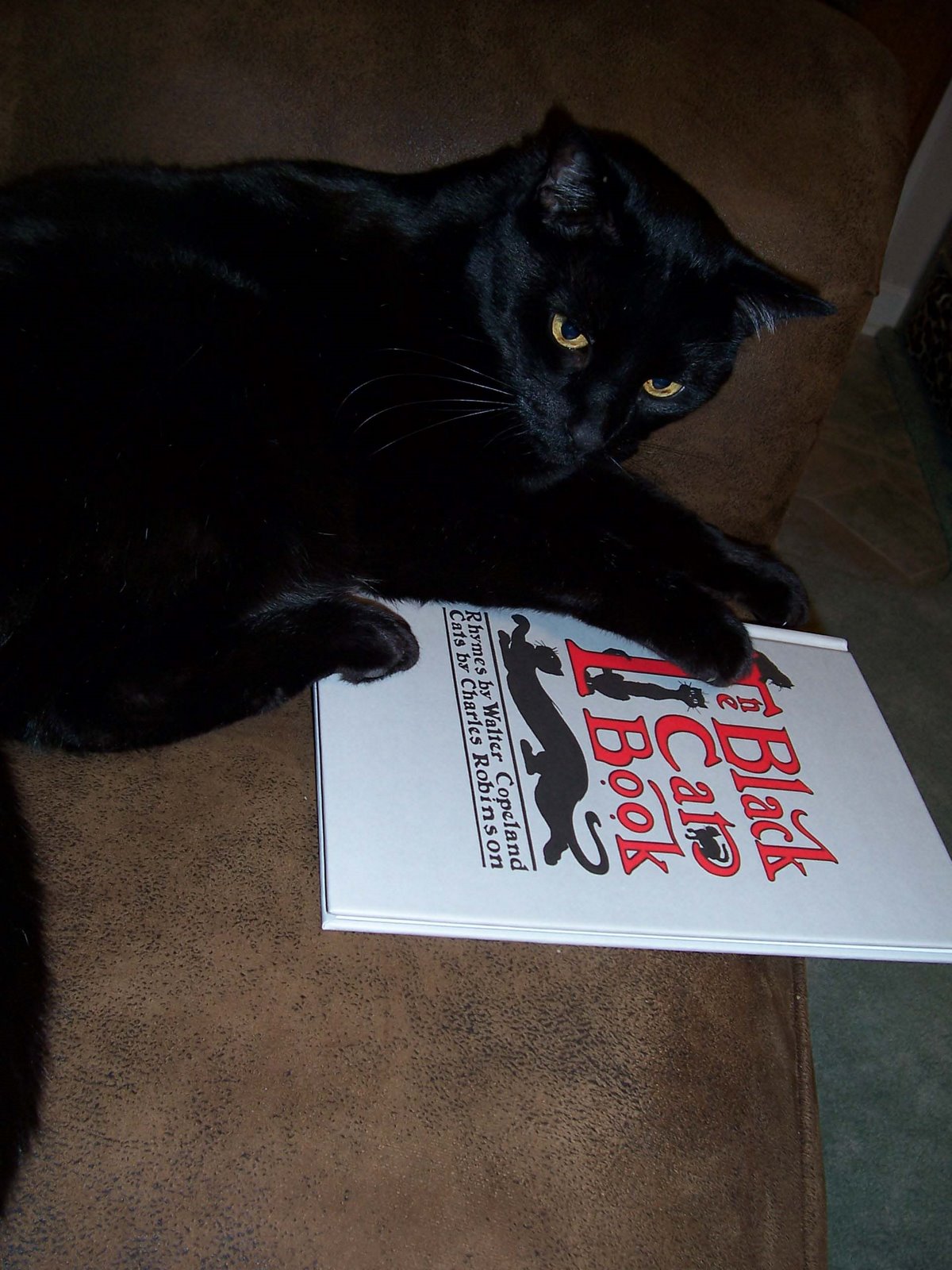 [Merlin-the+black+cat+book+2.jpg]