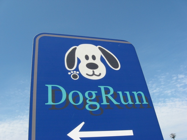 [dog+run.jpg]